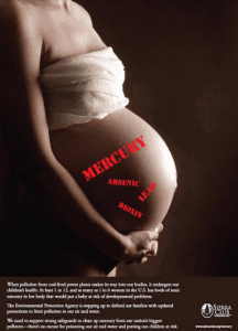 Sierra Club: Fetus Toxins